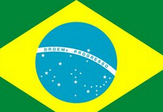 俄罗斯旅游签证(14天) 巴西探亲签证